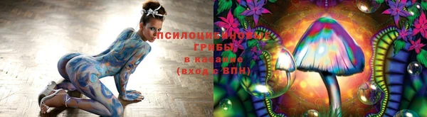 хмурый Балабаново