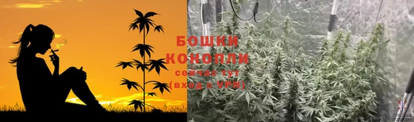 стаф Тихвин