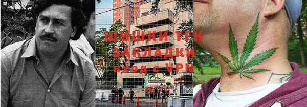 стаф Тихвин
